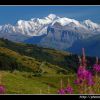 Mont blanc vu du col de Joux Plane