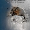 Nouvelle anne avec Imag'In Pyrnes