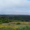 sommet du mont Lozere dans la brume