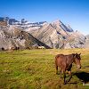 Chevaux, refuge des Espuguettes et cirque de Gavarnie
