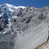 Ortler