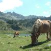 Pic d'Aygues-Cluses
