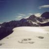 Pic Montaut