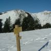 Pic Barsaut