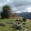 Cromlechs Lous Couraus