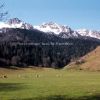 Au plateau de la Tcoure