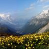 Chamonix - Mont Blanc