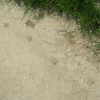 Bardenas RealesTraces sur le sol craquel vers Sarda del Moral