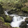 Cascade au gave de Cestrde