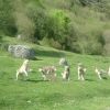 Lac d'Estaing