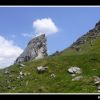 lac du cardal