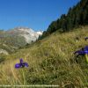 Massif du Vignemale