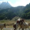 La vache! a grimpe dur face au pic du Midi d'Ossau