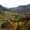 Automne en valle de Tea