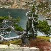 Lac d'Arriel
