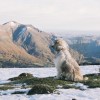 La pne de Souqute depuis le col de Liar