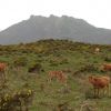Sur le flanc Sud-Ouest du Mandale