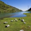 Barrage du Castillon