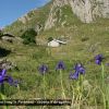 Cabane d'Arrgatiou