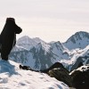 Du pic des Gahus
