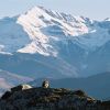Le Montaigu depuis le Bout