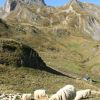 Cabane de Saoubiste