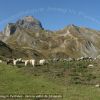 Dans le vallon de Saoubiste