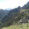 Pico Posets