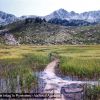 Vallon d'Agalops