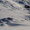 la cabane d'Andorre