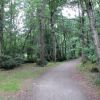 Balade au lac de Christus - 1