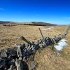 Paysage d'Aubrac