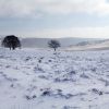 Plateau de l'Aubrac sous la neige