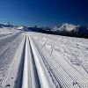 Hautacam c'est aussi une station de ski de fond
