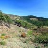Superbe vue depuis le col du Sapet dans les Cevennes