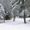 Sentier botanique de Laguiole sous la neige