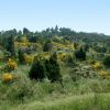 Randonne sur le Tour de Madeloc
