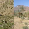 Randonne et Trekking au Saghro Maroc : La Traverse du Djebel Saghro