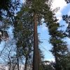 Balade dans le parc de Bourran 4