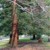 Balade dans le parc de Bourran 8
