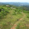 Chemin qui mne au Mondarrain dans le Pays Basque