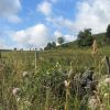 Randonne  la Cascade du Droc, sur le Plateau de l'Aubrac