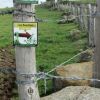 VTT en direction de la Cascade du Droc sur le plateau de l'Aubrac