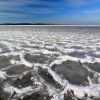 L'eau du lac d'Hourtin a gel du ct de Maubuisson