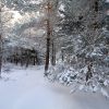 Neige sur l'Aubrac