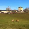 Pl de Masse, entre Bonneval et Espalion, Aveyron