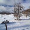 Plateau de l'Aubrac sous la neige