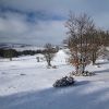 Neige sur le plateau de l'Aubrac
