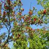 Dans le ciel Aveyronnais, lors de la balade en VTT