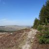 Randonne au Col de Bonnecombe et alentours sur l'Aubrac ct Lozre